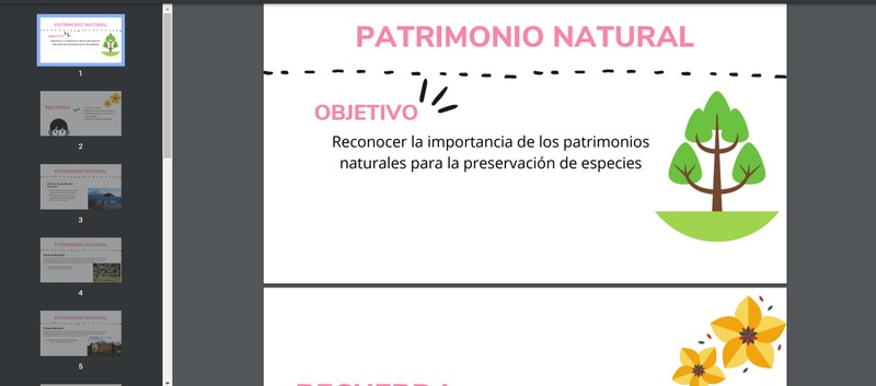 Patrimonio Natural - Segundo Básico OA09 | Profe.social